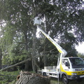 20110811 parc-abattage-arbre-2 46477190862 o