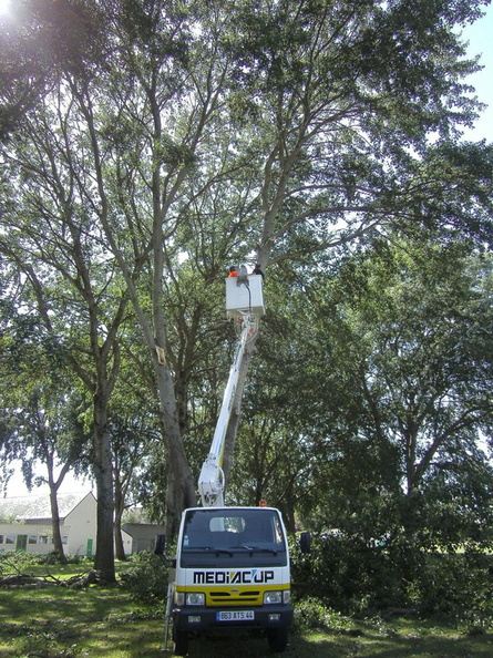 20110811_parc-abattage-arbre-8_45615740325_o.jpg