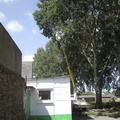 20110811 parc-abattage-arbre-11 45615739025 o