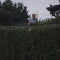 20110818 taillehaie-6 45615735205 o